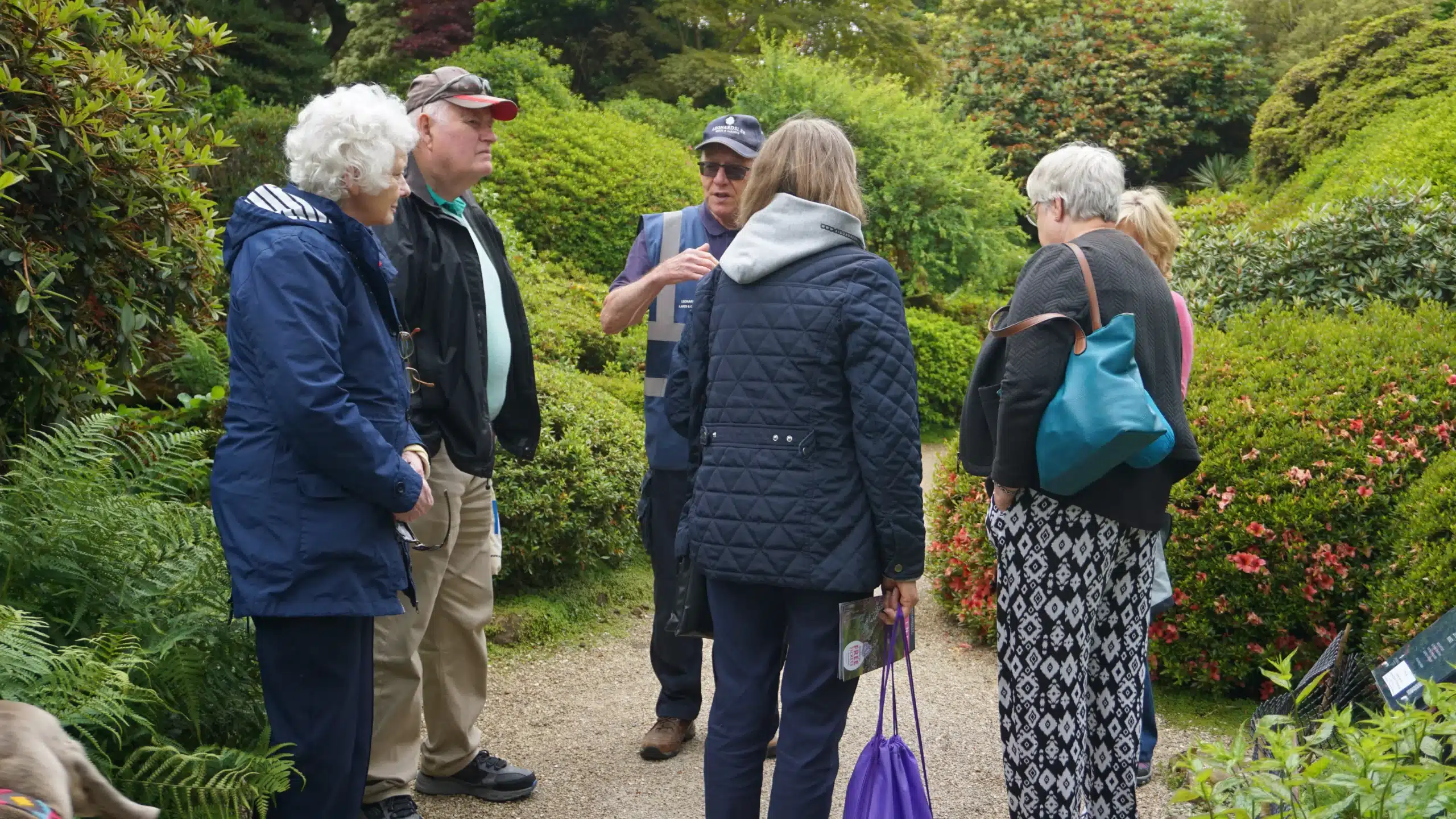 carers registeration