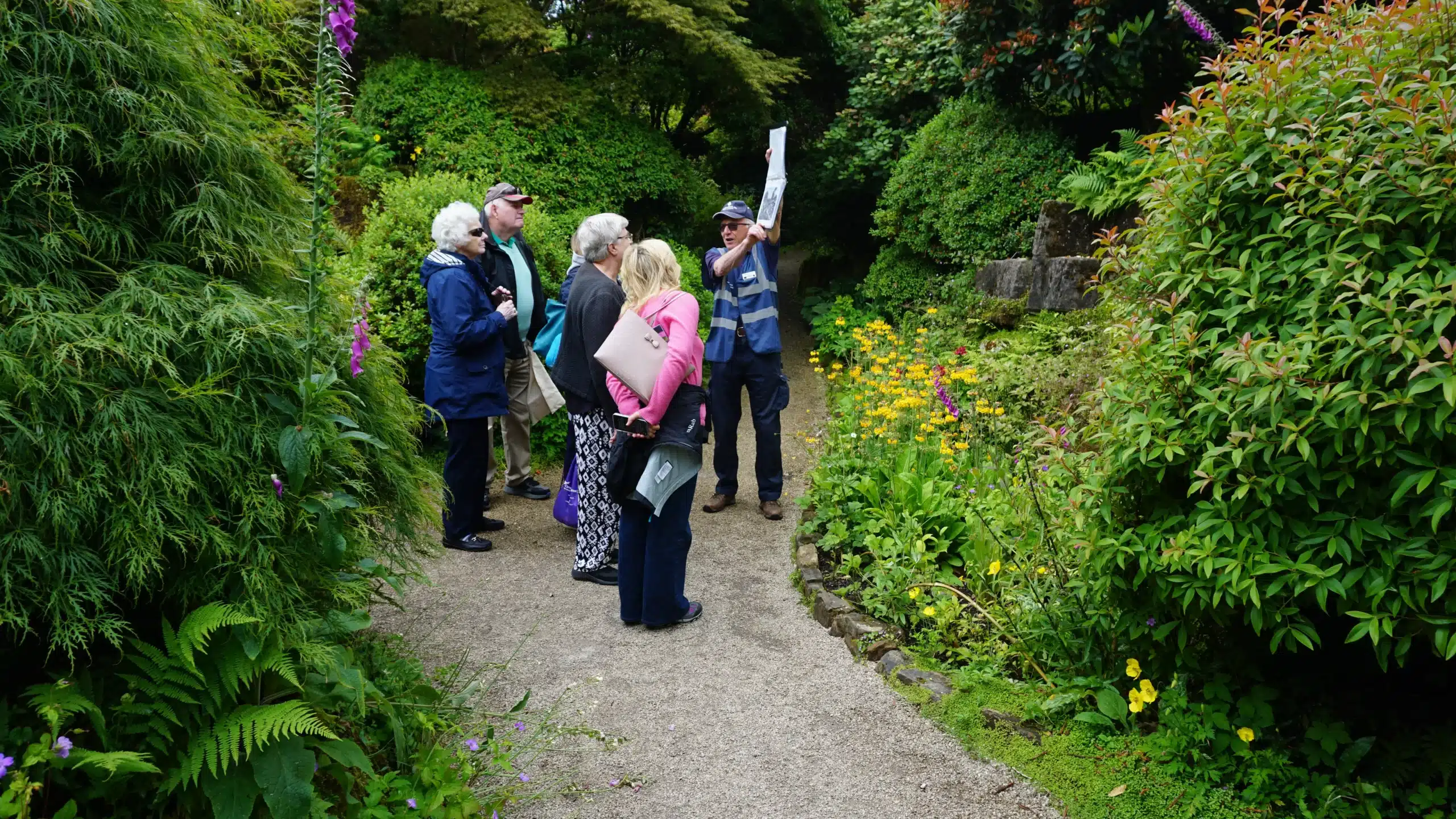 carers walk