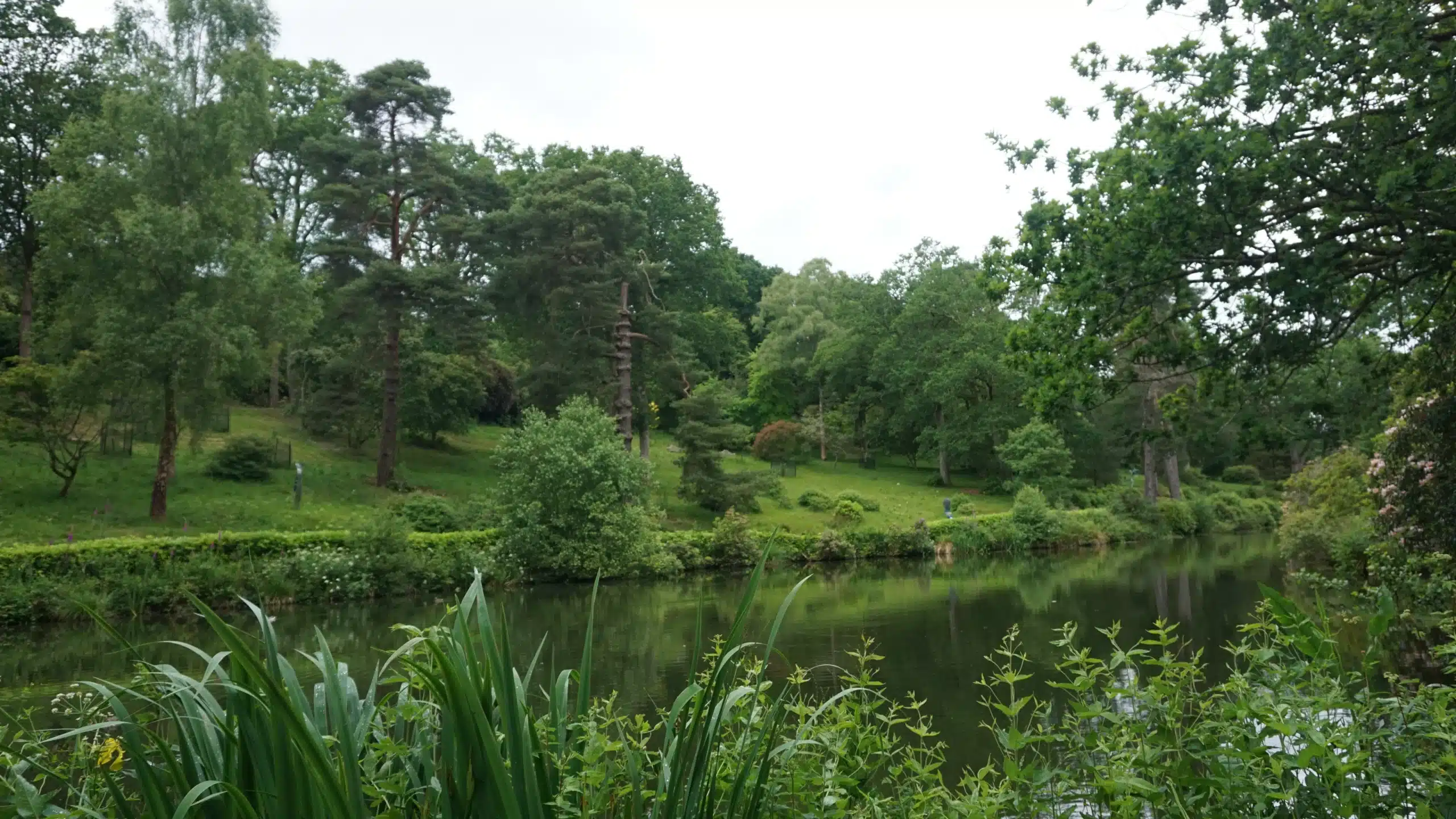 woodland walk