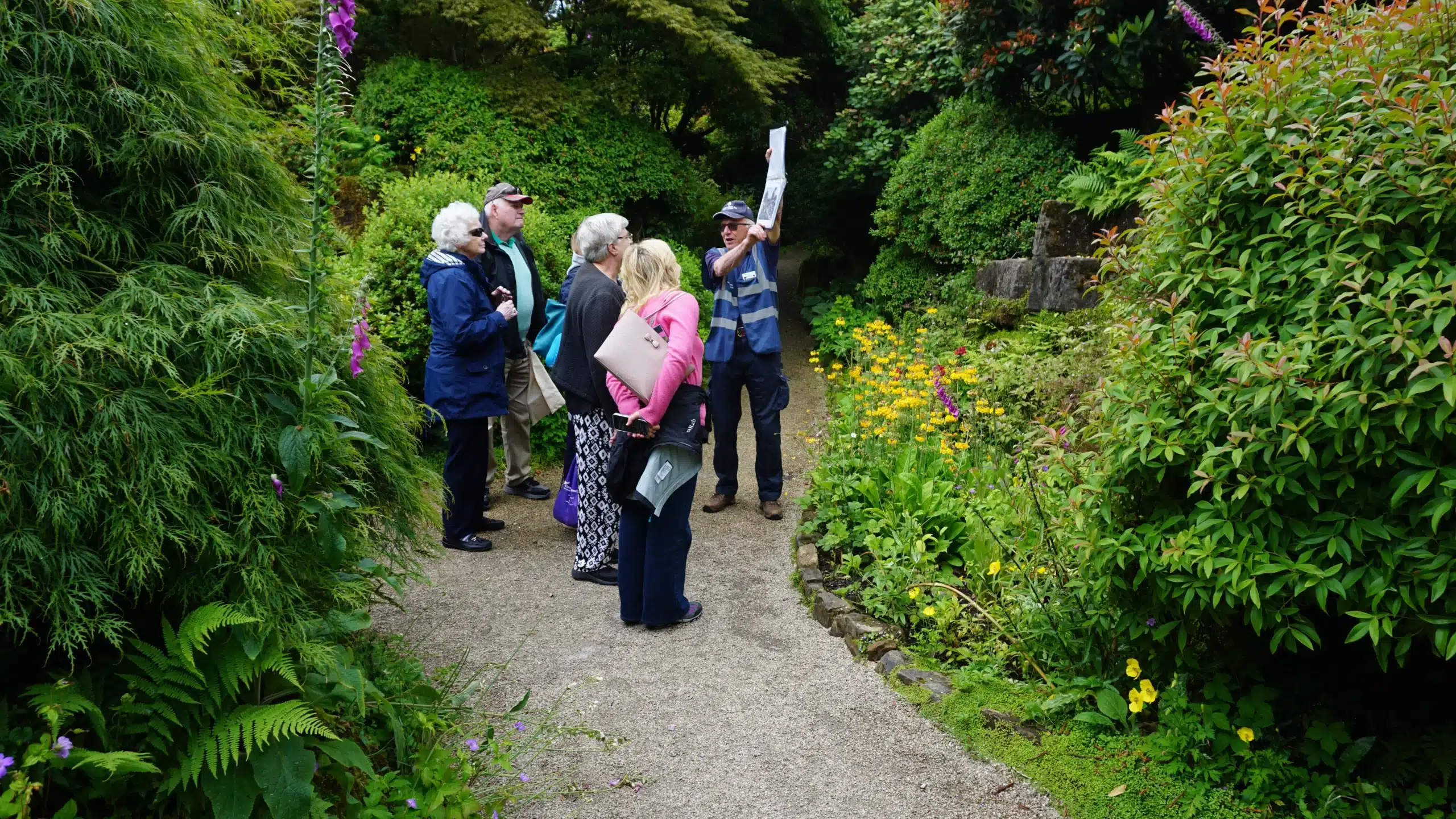 Carers out at event
